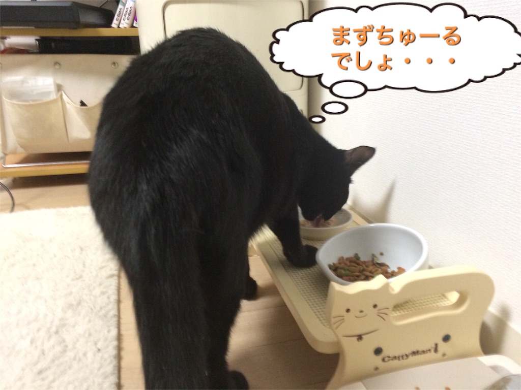 f:id:noirdaily:20160823072739j:image