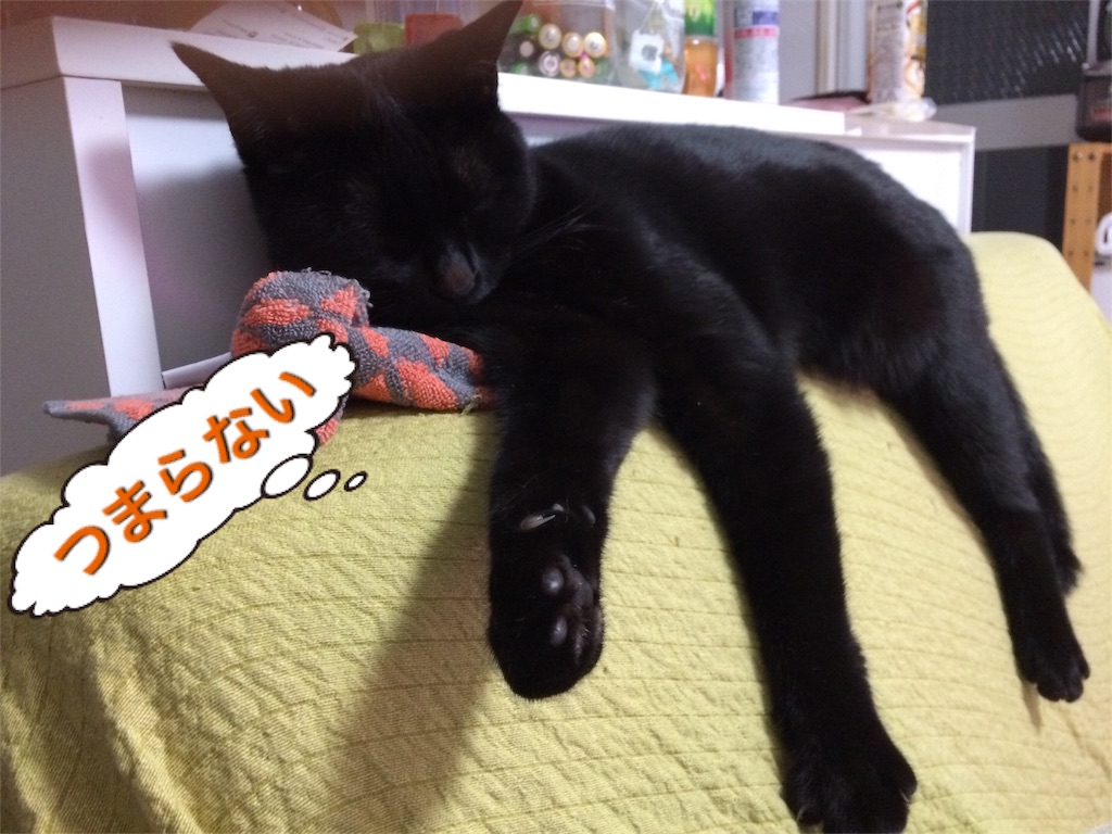 f:id:noirdaily:20170110072518j:image