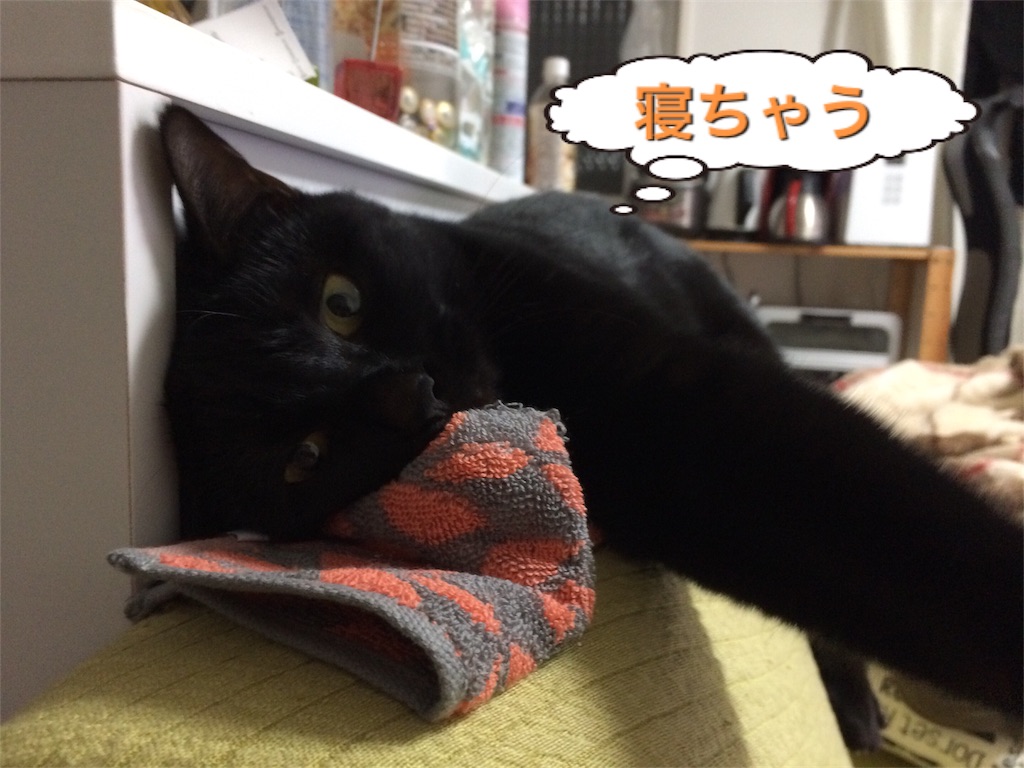 f:id:noirdaily:20170110072535j:image