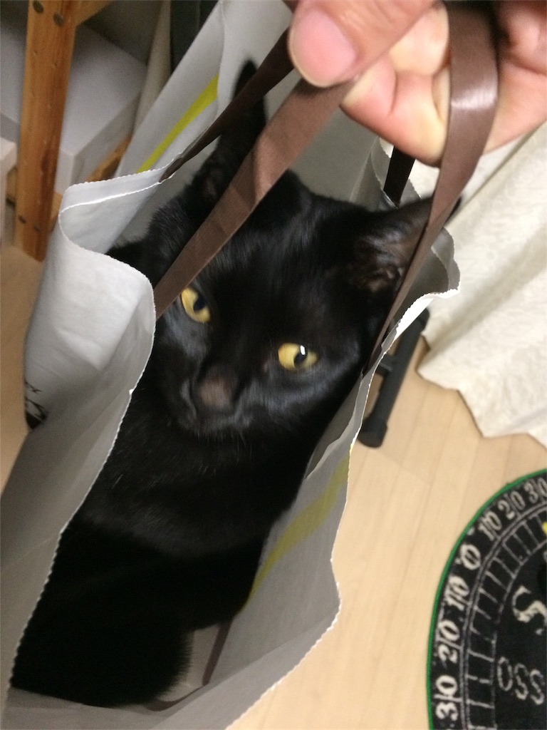 f:id:noirdaily:20170112191144j:image