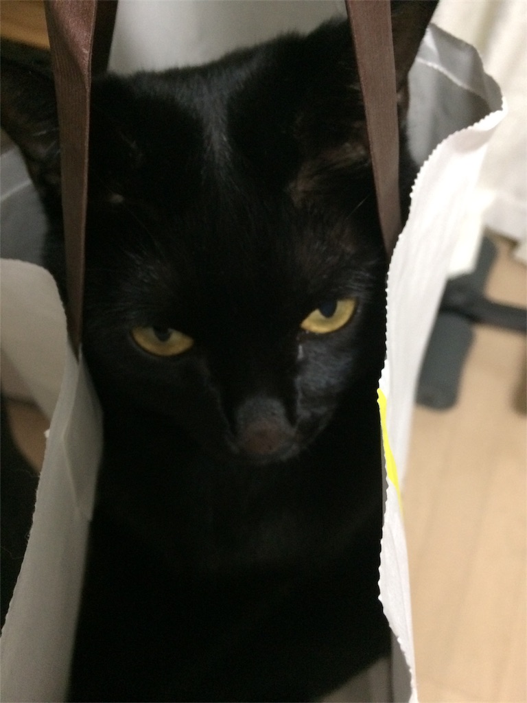 f:id:noirdaily:20170112191156j:image