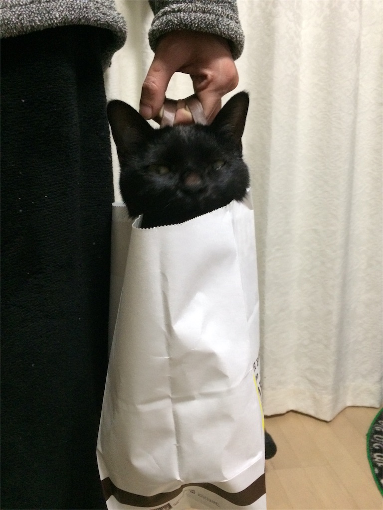 f:id:noirdaily:20170112191231j:image