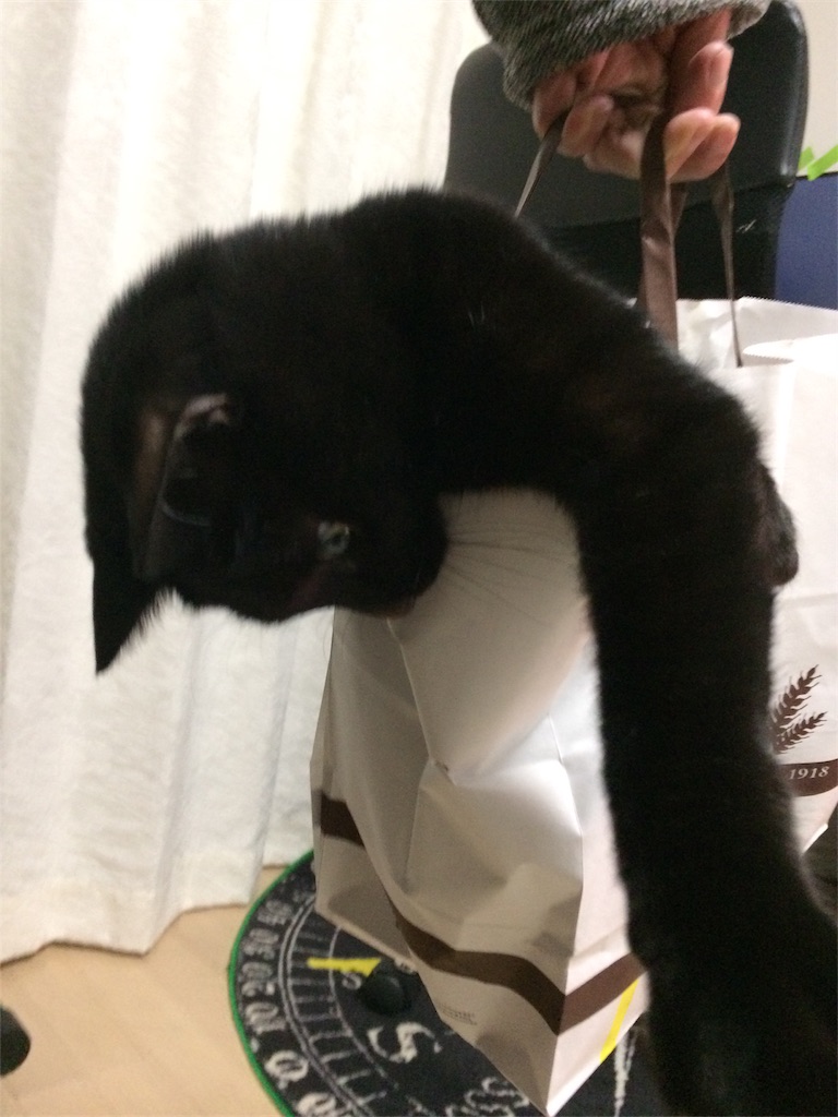 f:id:noirdaily:20170112191241j:image