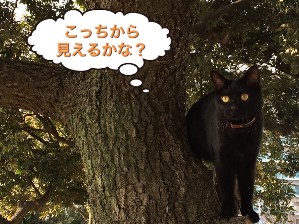 f:id:noirdaily:20170216221140j:image