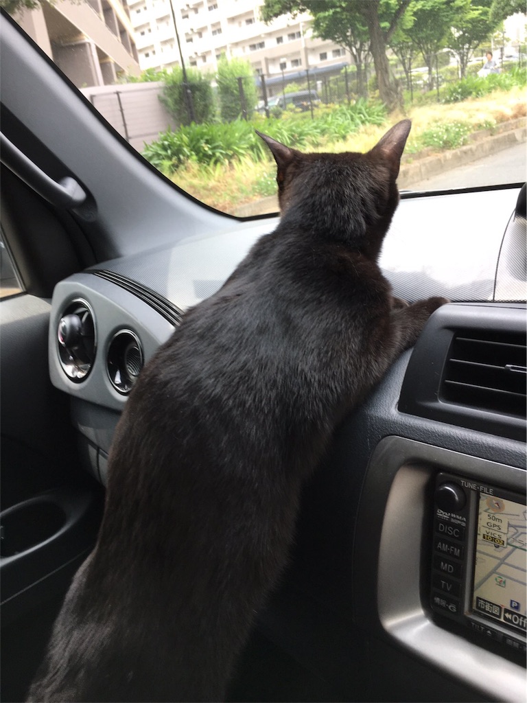 f:id:noirdaily:20170601083020j:image