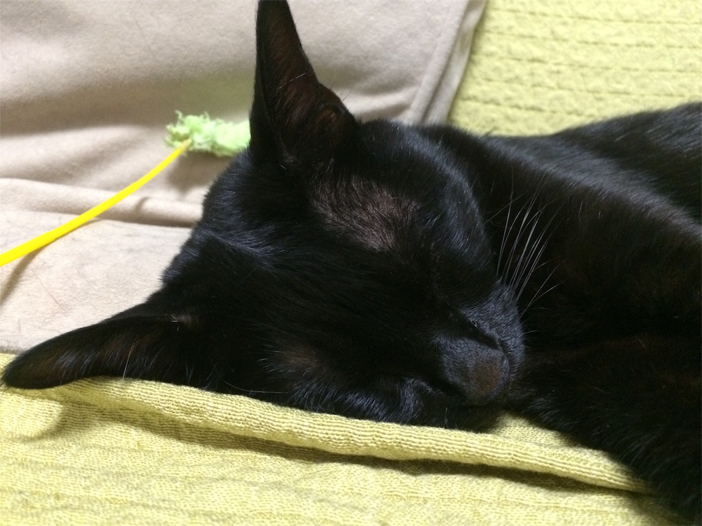 f:id:noirdaily:20170601083159j:image