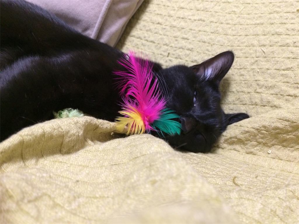 f:id:noirdaily:20170601084024j:image