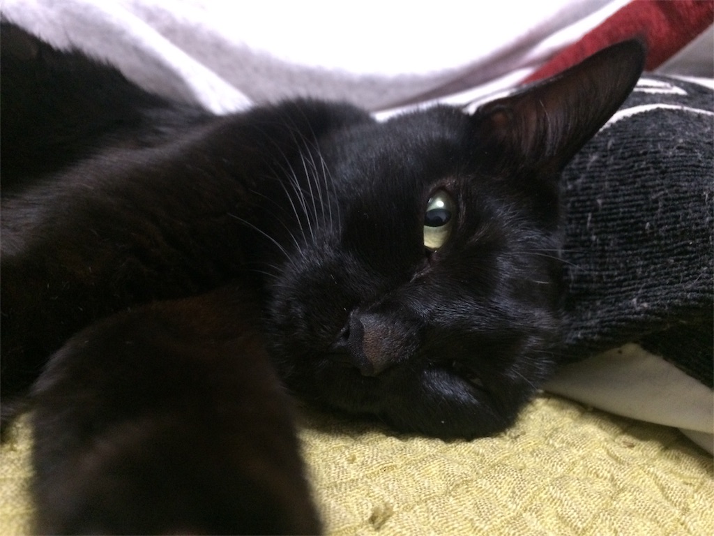 f:id:noirdaily:20180627190741j:image