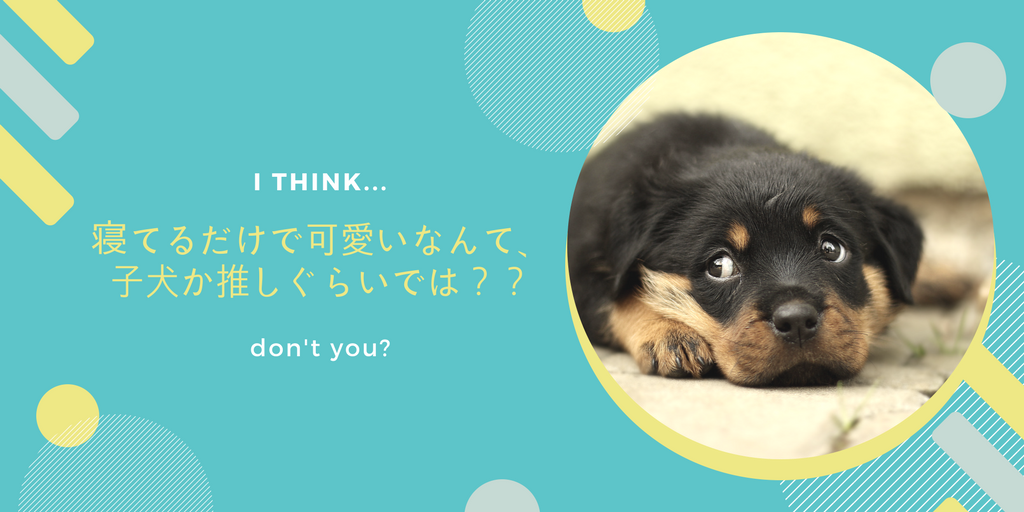 f:id:noirdog22:20180508160618p:plain