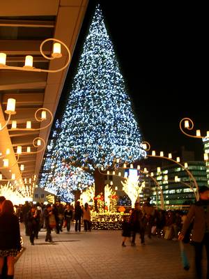 名古屋駅前のクリスマスイルミネーション2