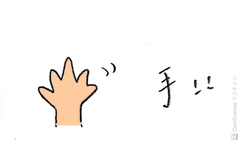 f:id:noix-mom:20220329113719j:image f:id:noix-mom:20220329113719j:image