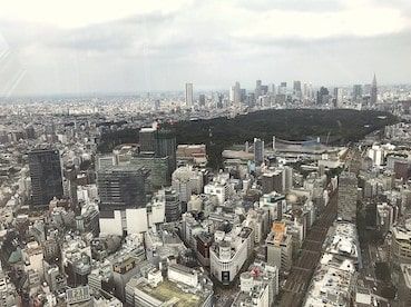f:id:noji_rei:20200311174301j:plain f:id:noji_rei:20200311174301j:plain