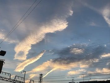 f:id:noji_rei:20200320181211j:plain f:id:noji_rei:20200320181211j:plain