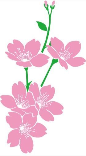 f:id:noji_rei:20200421174927j:plain