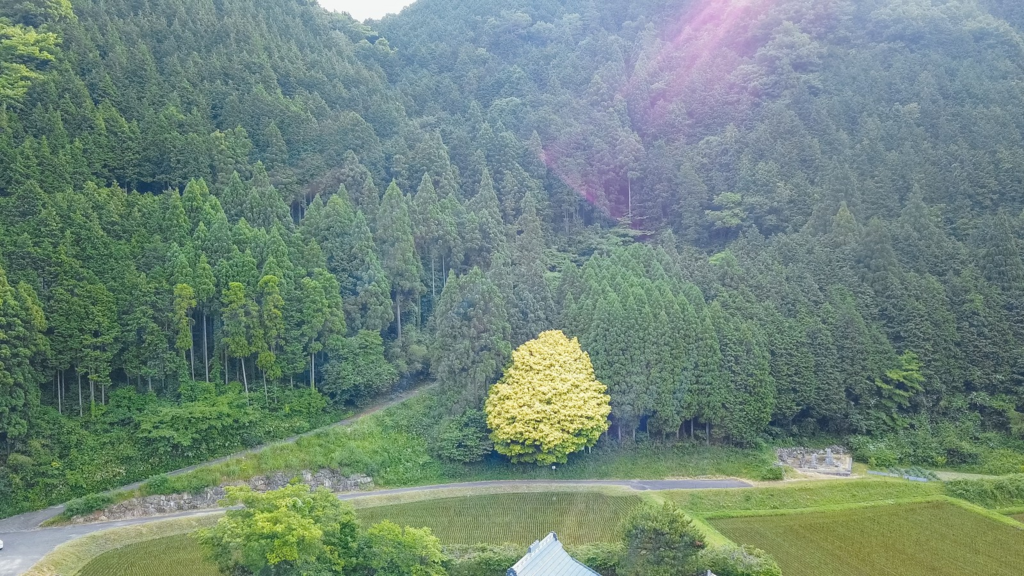 f:id:nojisho:20180715042906p:plain