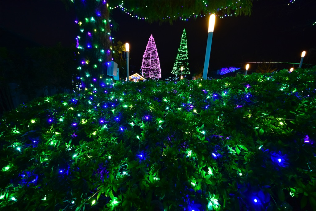 f:id:nok298:20151231223711j:image f:id:nok298:20151231223711j:image