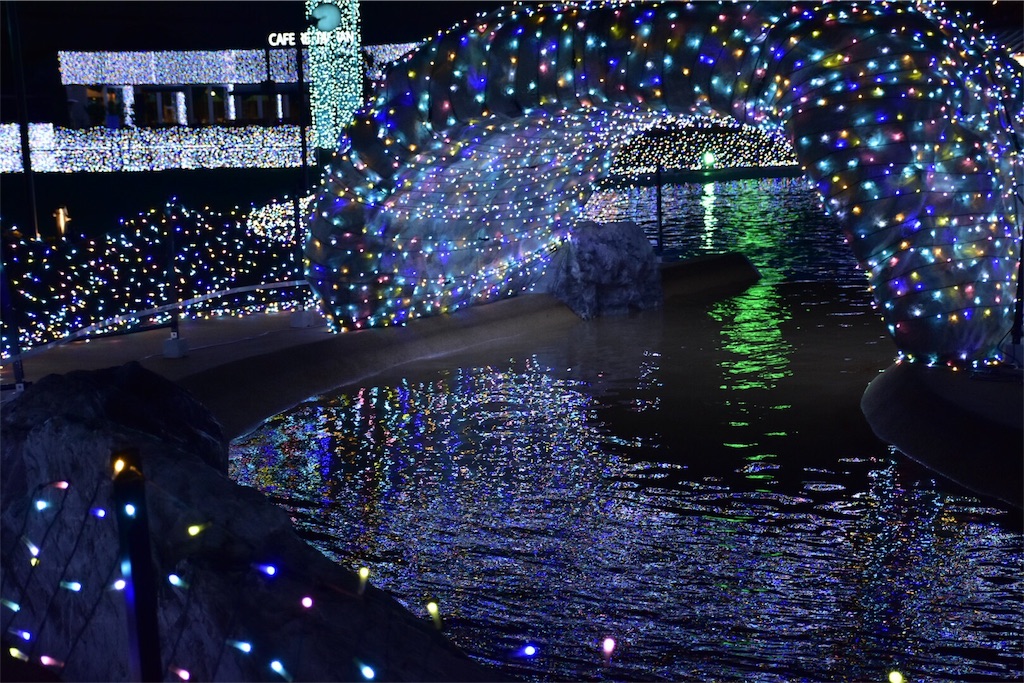 f:id:nok298:20151231224447j:image f:id:nok298:20151231224447j:image
