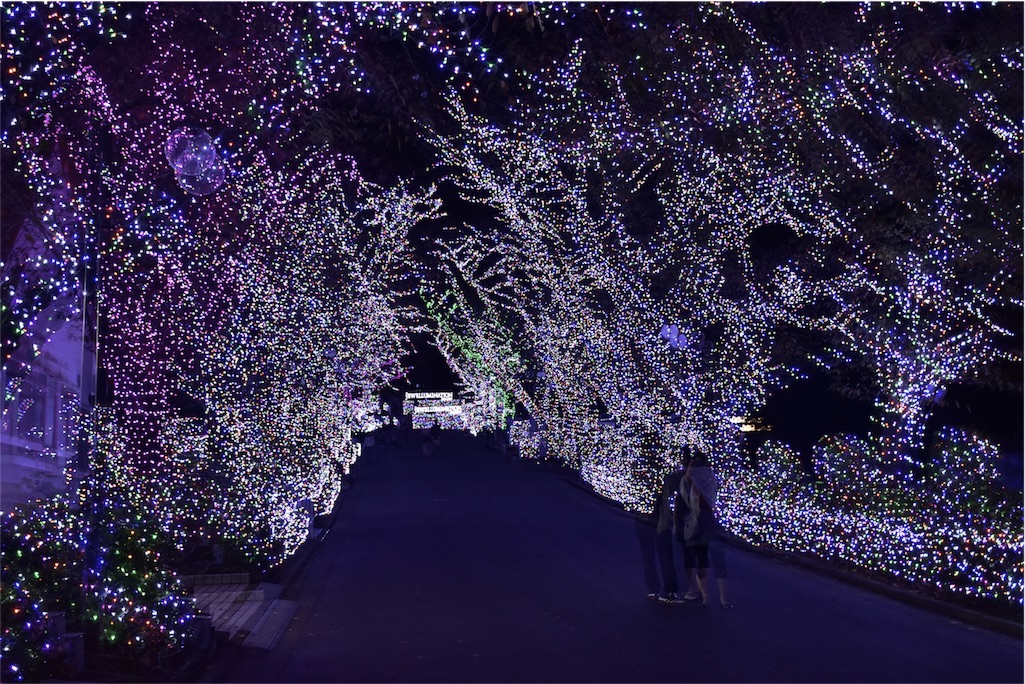 f:id:nok298:20151231230157j:image f:id:nok298:20151231230157j:image