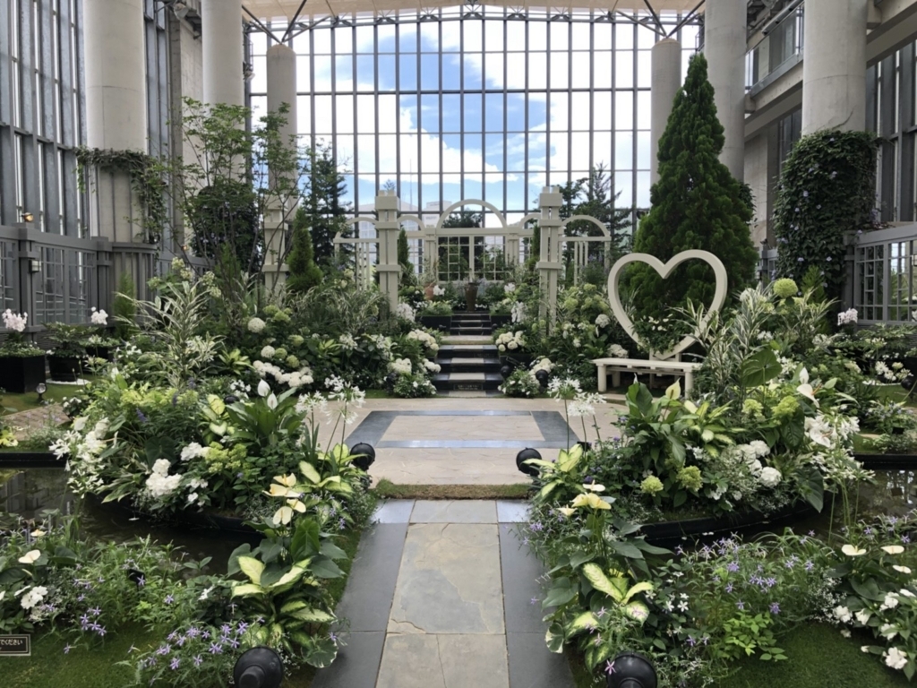 星の植物館内メイン展示