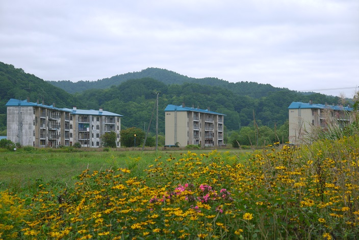 f:id:nokanan_omi:20190824221704j:plain