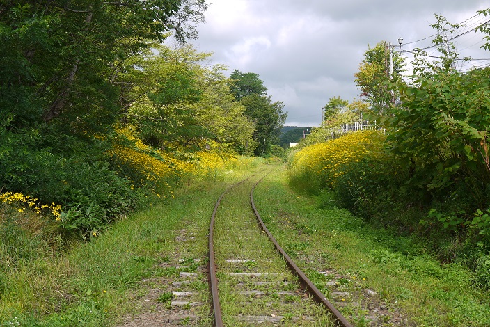 f:id:nokanan_omi:20190908195226j:plain