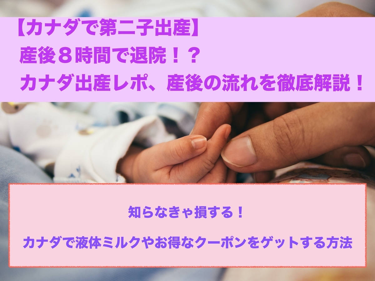 f:id:nokanoka02:20210107023715j:plain
