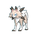 はじめよう ポケモンカード コロコロコミック１月号付録のイワンコ全力デッキを改造する ルガルガンgxデッキ のかんぞうのポケモンやるんぞう