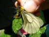 f:id:noken:20070623120039j:image f:id:noken:20070623120039j:image