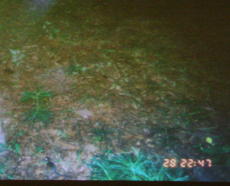 f:id:noken:20081118192417j:image f:id:noken:20081118192417j:image
