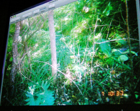 f:id:noken:20081118195626j:image f:id:noken:20081118195626j:image