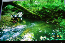 f:id:noken:20081118195942j:image:left f:id:noken:20081118195942j:image:left