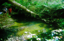 f:id:noken:20081118200547j:image:right f:id:noken:20081118200547j:image:right