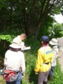 20110619131415