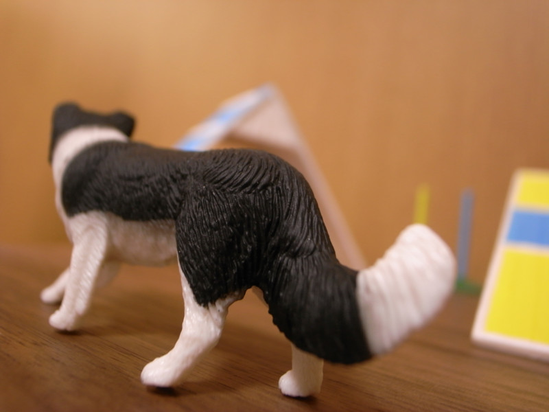 f:id:noki623:20110807170113j:image:w300 f:id:noki623:20110807170113j:image:w300