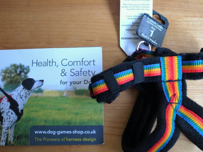 フリースラインドハーネス - 本当に自由な休日