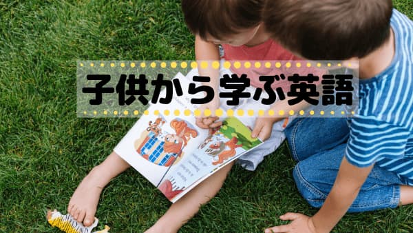 f:id:nokimama:20190626155040j:plain f:id:nokimama:20190626155040j:plain