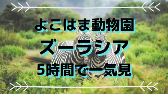 f:id:nokimama:20191004125251j:plain f:id:nokimama:20191004125251j:plain