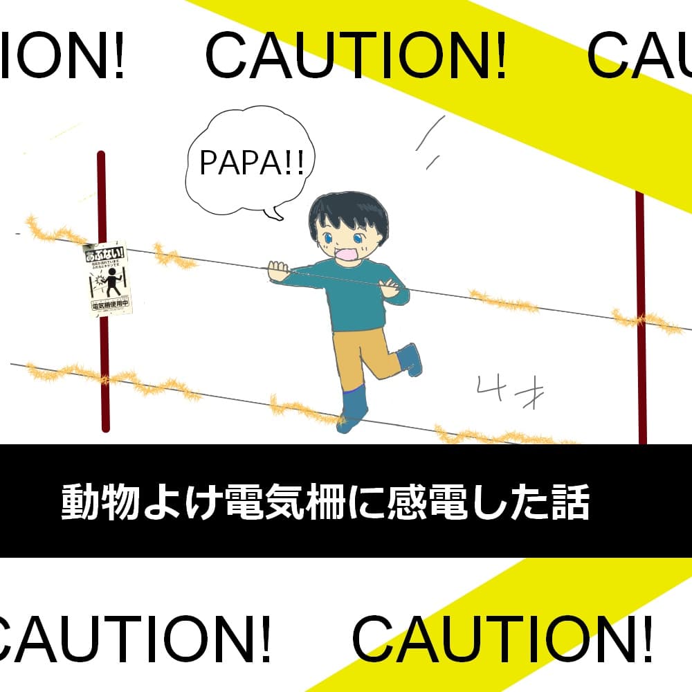 f:id:nokimama:20191205043820j:plain f:id:nokimama:20191205043820j:plain