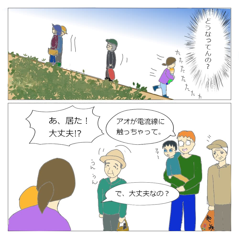 f:id:nokimama:20191205044027j:plain f:id:nokimama:20191205044027j:plain