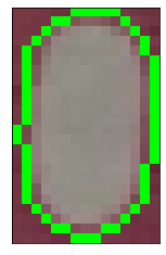 f:id:nokixa:20220327233746p:plain