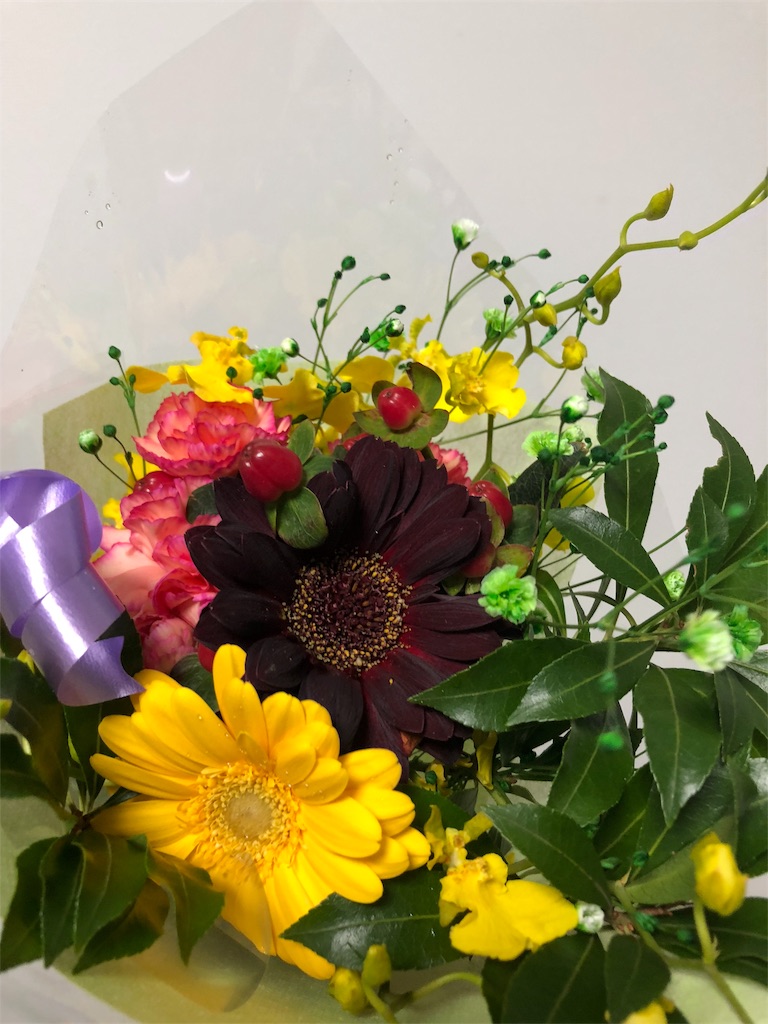 f:id:nokkudas:20180320144031j:image