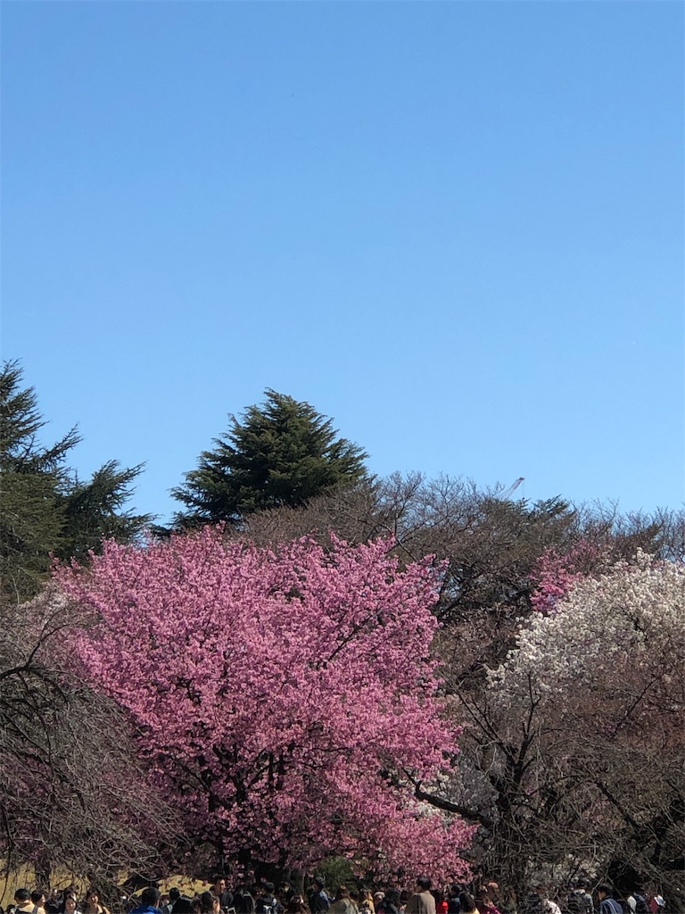 f:id:nokkudas:20190325192426j:image