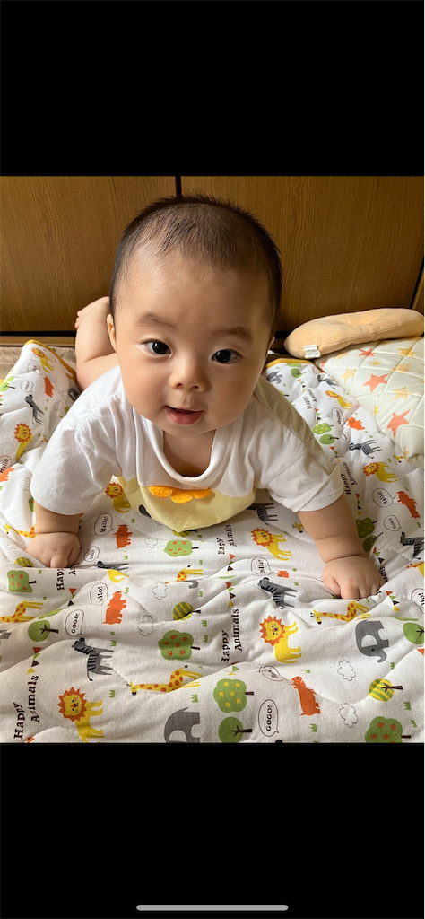 f:id:nokkudas:20230929091429p:image