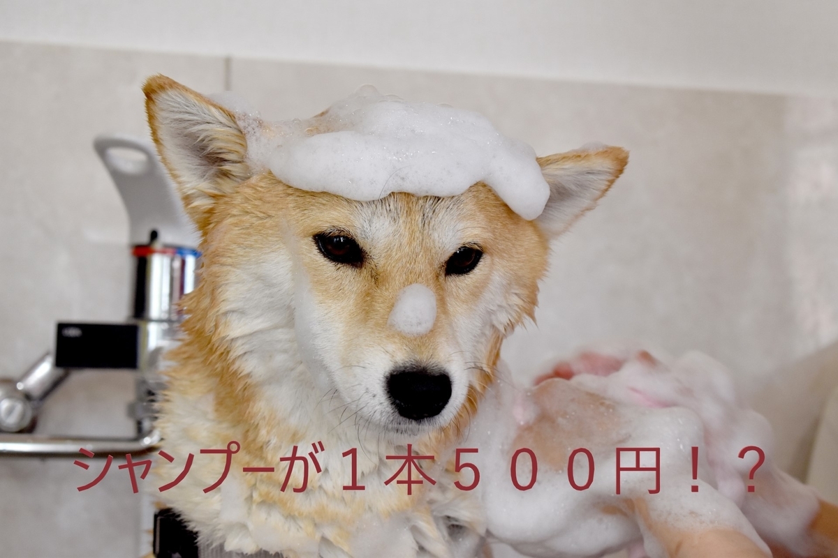 f:id:noko_kuma:20210321130033j:plain