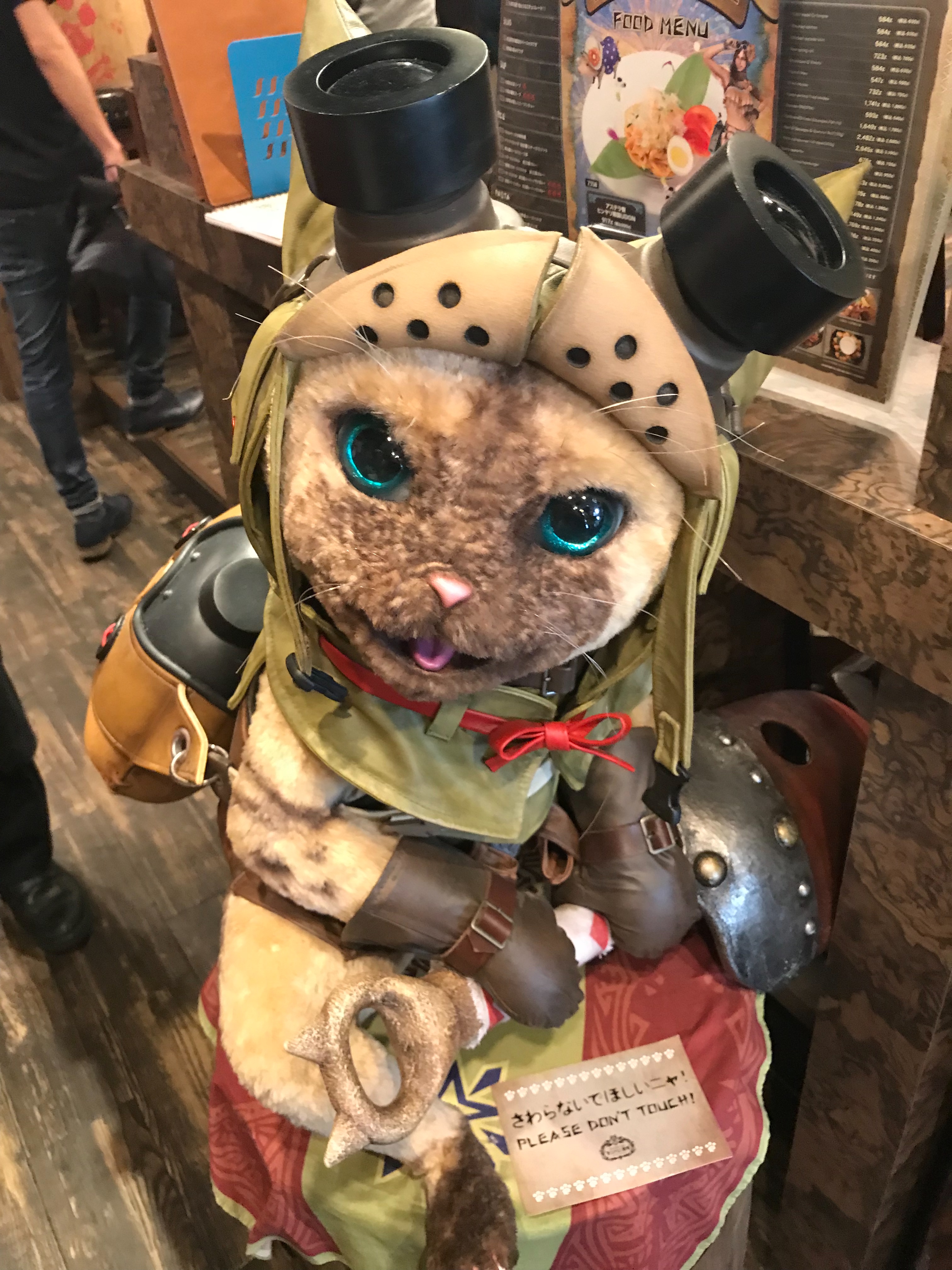 f:id:nokoko3:20180717085626j:image