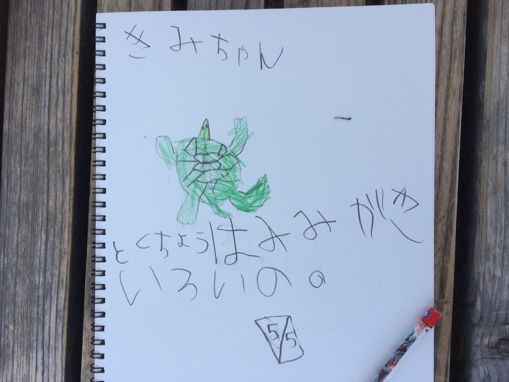 f:id:nokokoro:20160509223239j:image f:id:nokokoro:20160509223239j:image