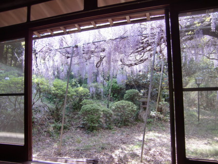 f:id:nokonoko81:20130427143128j:image f:id:nokonoko81:20130427143128j:image