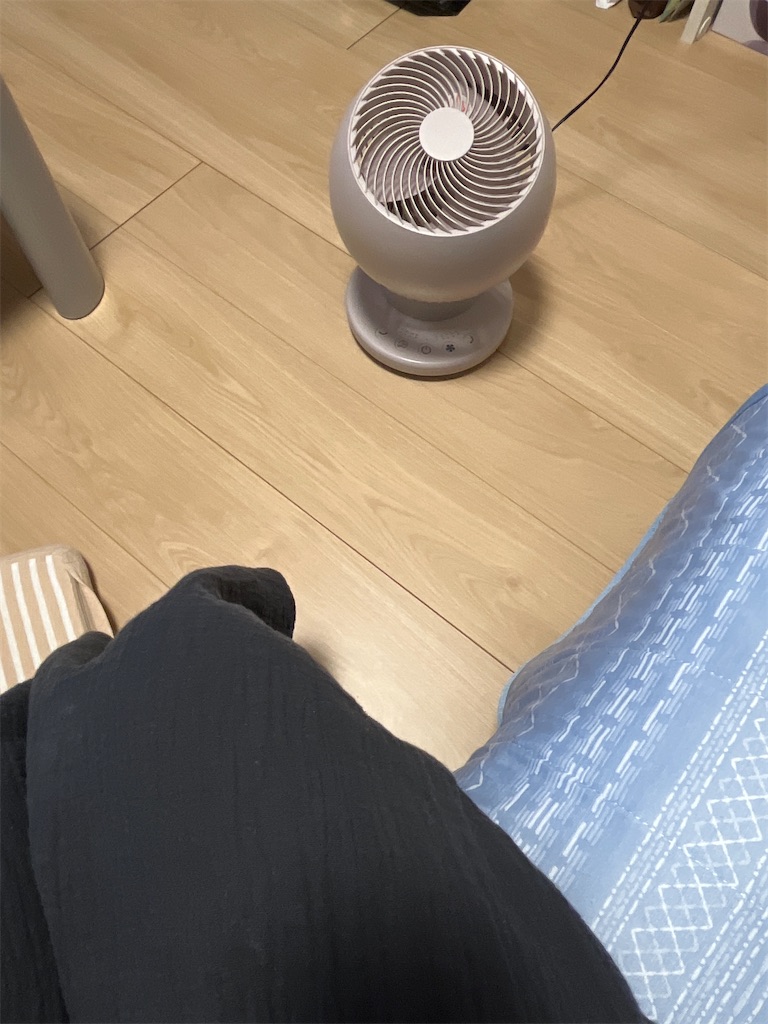 f:id:nokotsuchi:20240517194220j:image f:id:nokotsuchi:20240517194220j:image