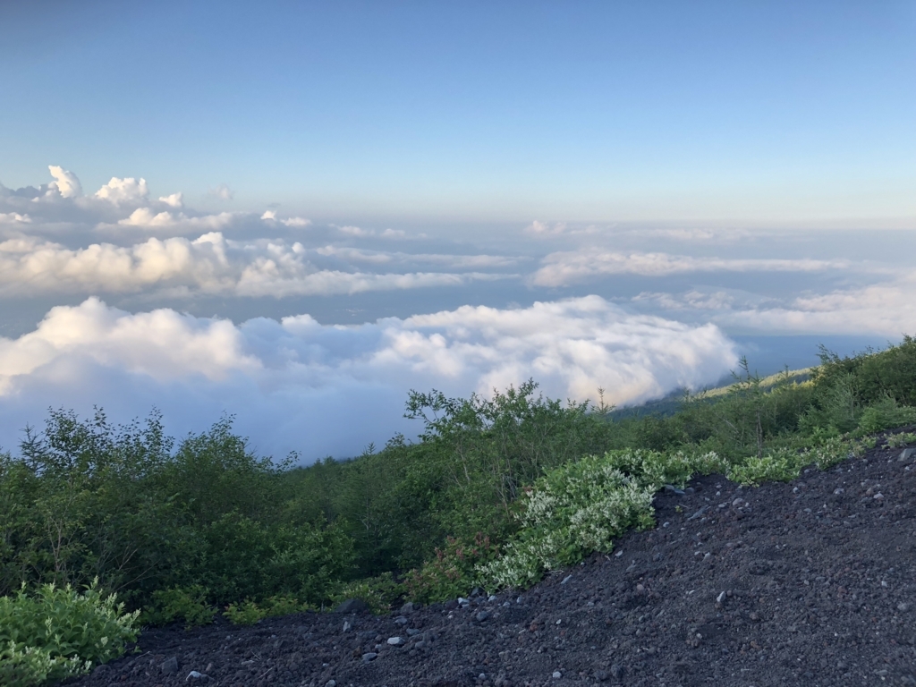 f:id:nokowata:20180804164229j:plain