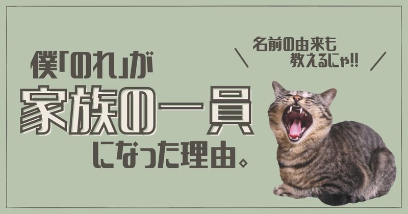 愛猫が家族の一員になった理由